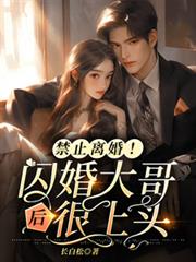禁止离婚!闪婚大哥后很上头 禁止离婚!闪婚大哥后很上头