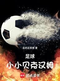 足球:小小贝克汉姆 足球:小小贝克汉姆