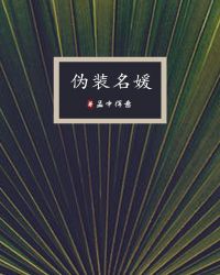 伪装名媛 伪装名媛