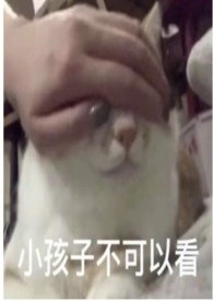 圈养蔷薇(纯百骨科np) 圈养蔷薇(纯百骨科np)