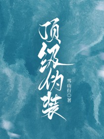 顶级伪装 顶级伪装