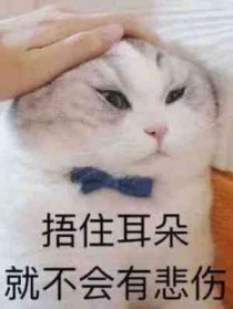 恶毒炮灰向导只想退婚 恶毒炮灰向导只想退婚