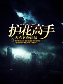 护花高手 护花高手