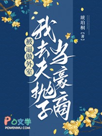 被逼做外室,我去夫抛子当豪商