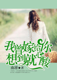 我曾嫁给你,想到就心酸