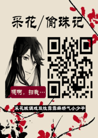 采花/偷珠记(双性/露阴癖)