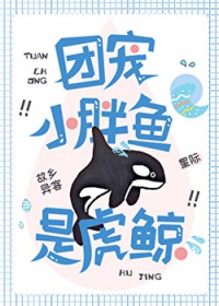 �ų�С�����ǻ���