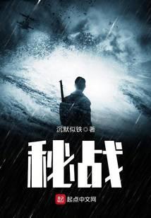 秘战