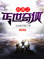 抗战之丐世奇侠