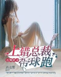迷糊娇妻:上错总裁带球跑